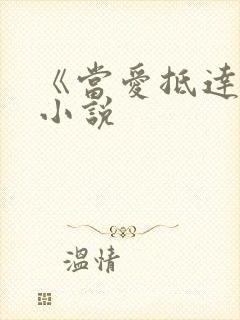 《当爱抵达时》小说