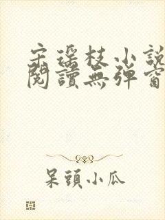 宋瑶枝小说免费阅读无弹窗最新章节