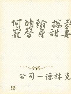 何明翰 总裁误宠替身甜妻