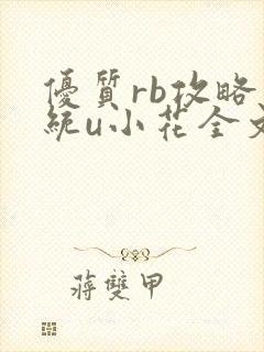 优质rb攻略系统u小花全文免费