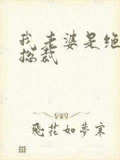 我老婆是绝色女总裁