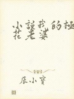 小说我的极品校花老婆