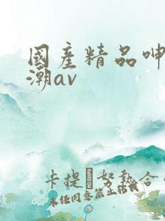 国产精品呻吟高潮av