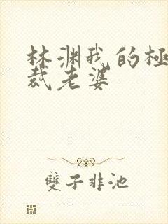 林渊我的极品总裁老婆