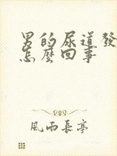 男的尿道发炎是怎么回事