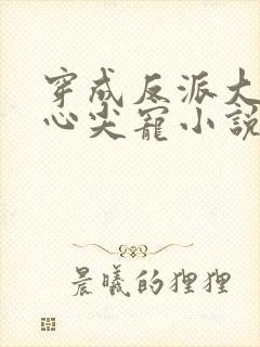 穿成反派大佬的心尖宠小说