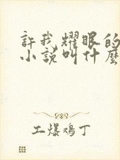 许我耀眼的原著小说叫什么