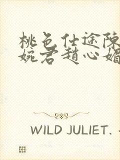 桃色仕途陈斌高婉君赵心媚