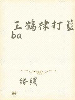 王鹤棣打篮球nba