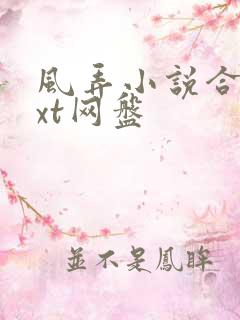 风弄小说合集txt网盘