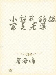 小说我的总裁白富美老婆