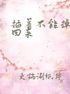 插着不能掉等我回来