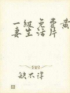 一级免费黄色夫妻生活片