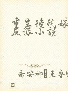 重生后我嫁给了反派小说