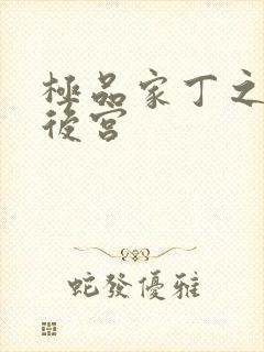 极品家丁之风流后宫