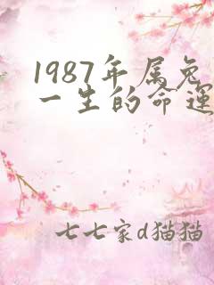 1987年属兔一生的命运怎么样