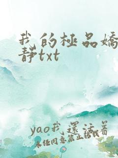 我的极品娇妻白静txt