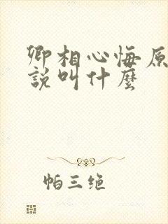 卿相心悔原著小说叫什么