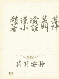 赵瑾瑜慕落雪原著小说叫什么名字