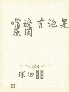 嘴边有泡是什么原因