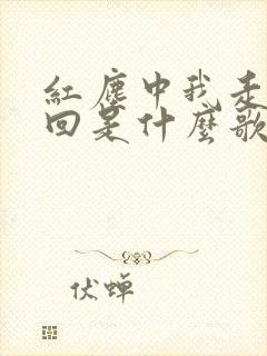 红尘中我走这一回是什么歌