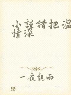 小说错把温柔当情深