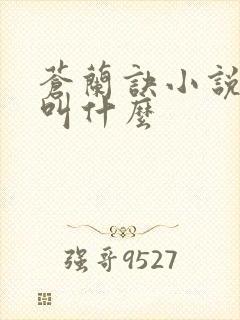 苍兰诀小说原著叫什么