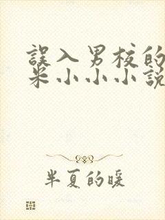 误入男校的女主米小小小说