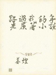 路过我的年少时光原著小说