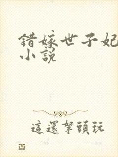 错嫁世子妃原著小说