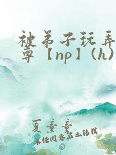 被弟子玩弄的师尊【np】(h)