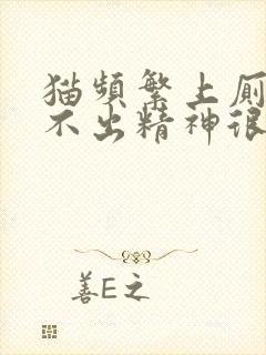 猫频繁上厕所尿不出精神很好