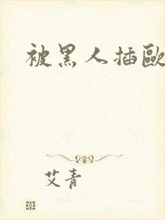 被黑人插欧美网