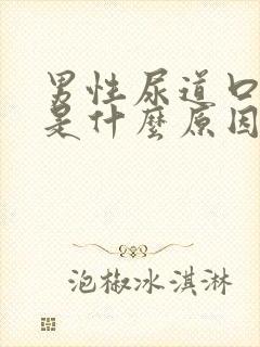 男性尿道口发炎是什么原因