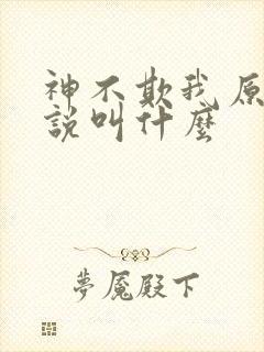 神不欺我原著小说叫什么