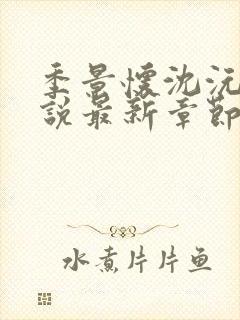 季景怀沈沅溪小说最新章节免费阅读