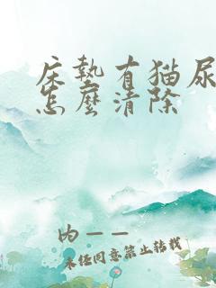 床垫有猫尿骚味怎么清除