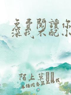 免费阅读你的情深我不配小说