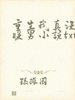 重生我真没想当暖男小说txt