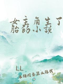 女主角生了四胞胎的小说