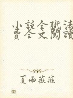 小说全职法师免费全文阅读一