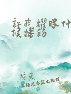 许我耀眼什么时候播的