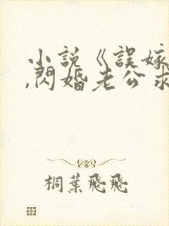 小说《误嫁豪门,闪婚老公求见面》