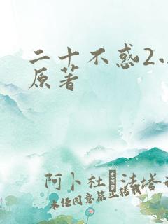 二十不惑2小说原著