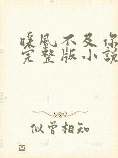 暖风不及你情深完整版小说免费阅读