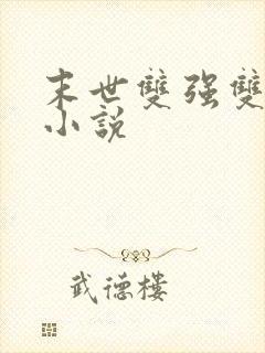 末世双强双男主小说