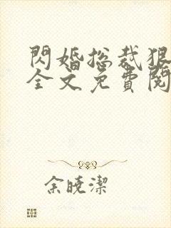 闪婚总裁狠狠爱全文免费阅读