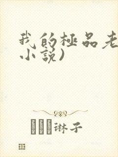 我的极品老婆(小说)