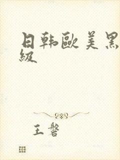 日韩欧美黑人三级