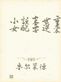 小说末世重生之女配要逆袭